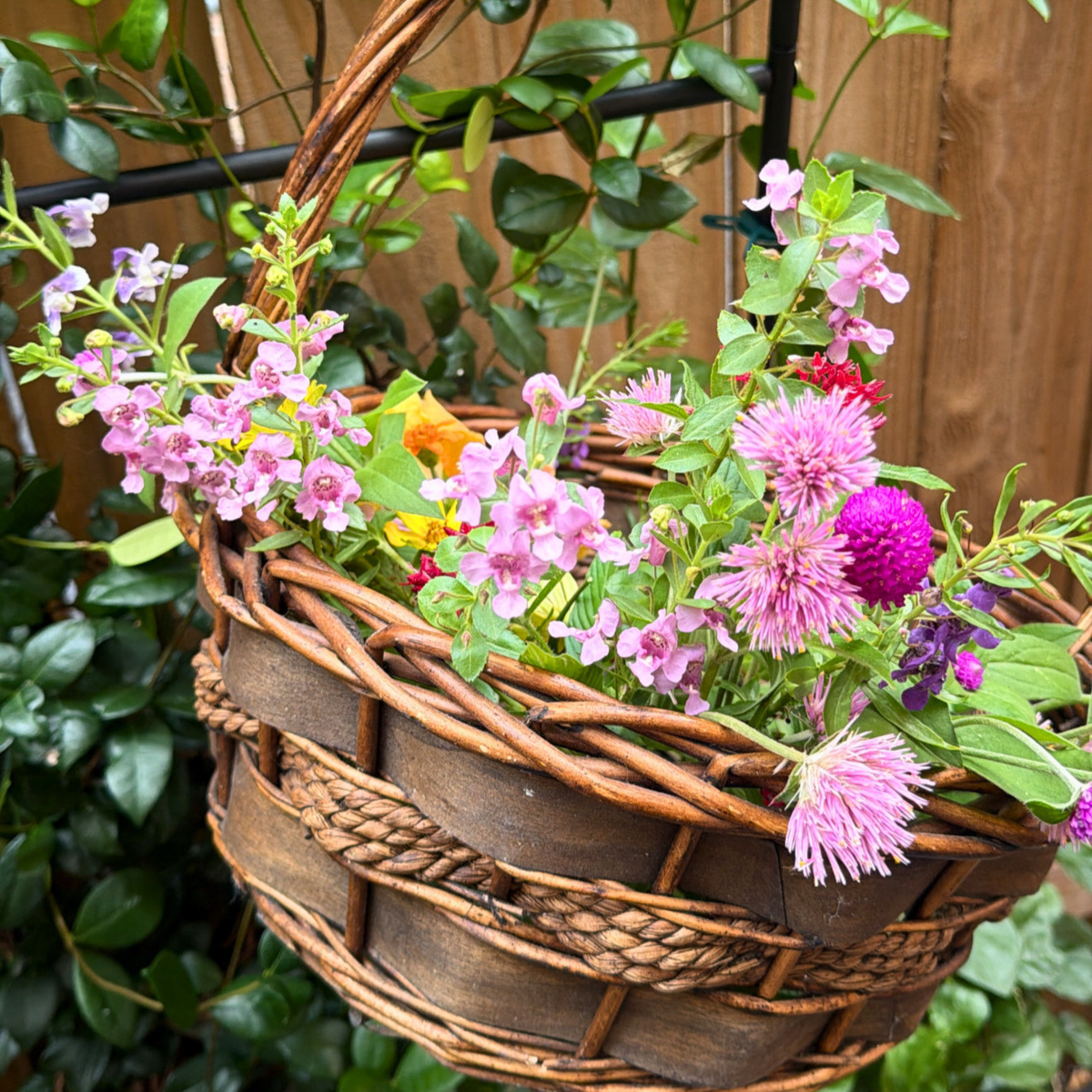 Jardin